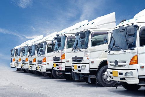 網(wǎng)絡(luò)貨運(yùn)申報(bào)成本高企與合規(guī)之路 百萬(wàn)門(mén)檻與程序迷宮的挑戰(zhàn)